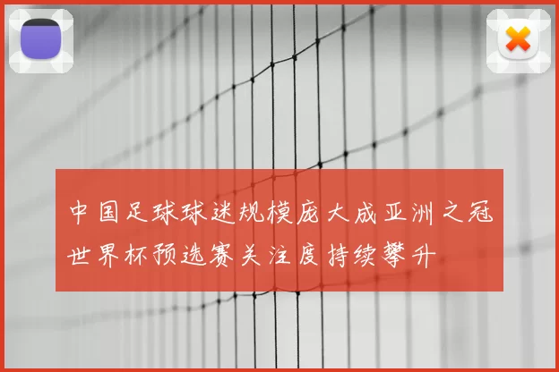 中国足球球迷规模庞大成亚洲之冠世界杯预选赛关注度持续攀升