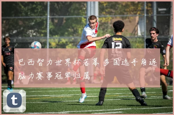 巴西智力世界杯落幕 多国选手角逐脑力赛事冠军归属